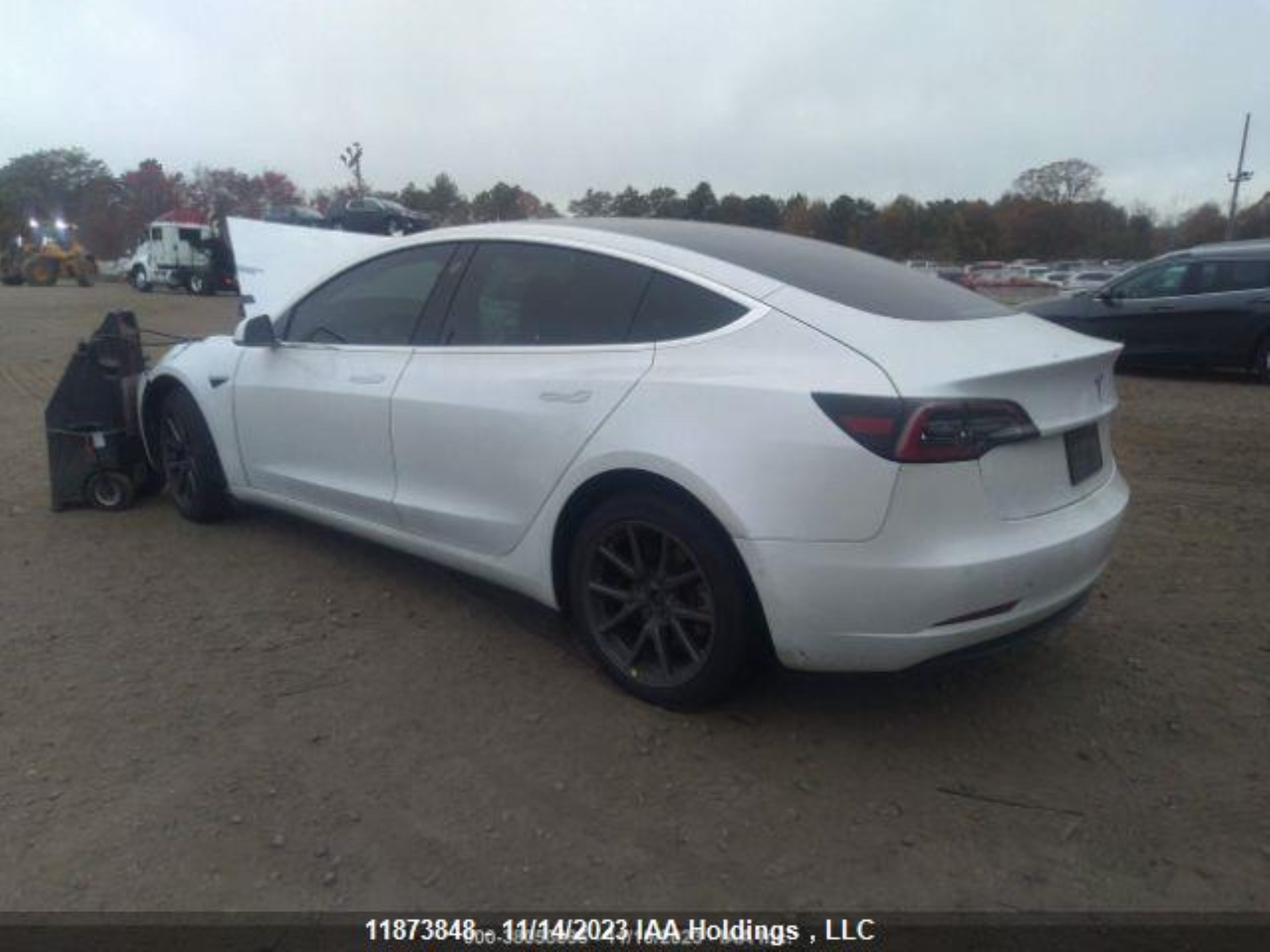 Photo 4 VIN: 5YJ3E1EA8LF715569 - TESLA MODEL 3 