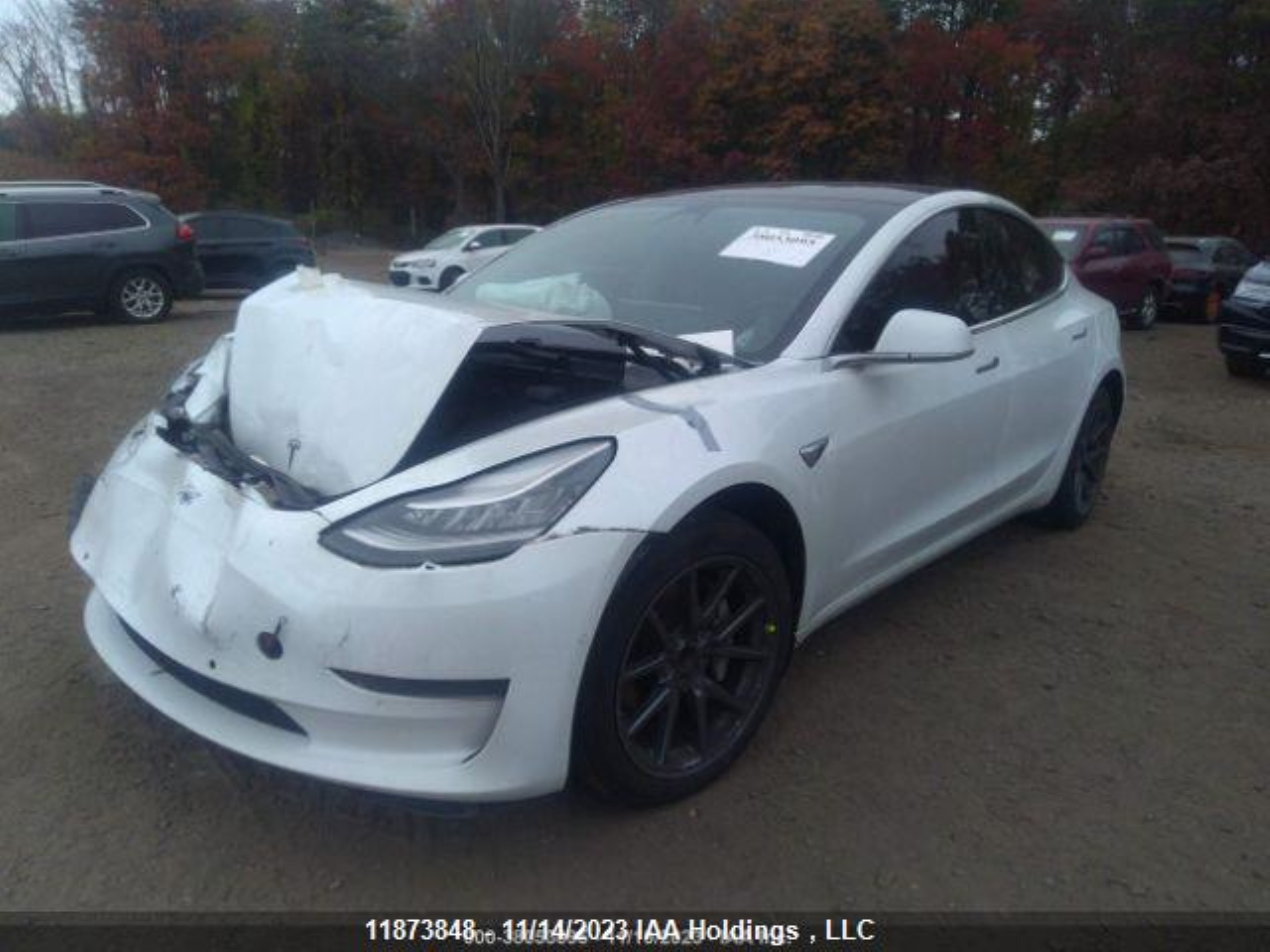 Photo 7 VIN: 5YJ3E1EA8LF715569 - TESLA MODEL 3 