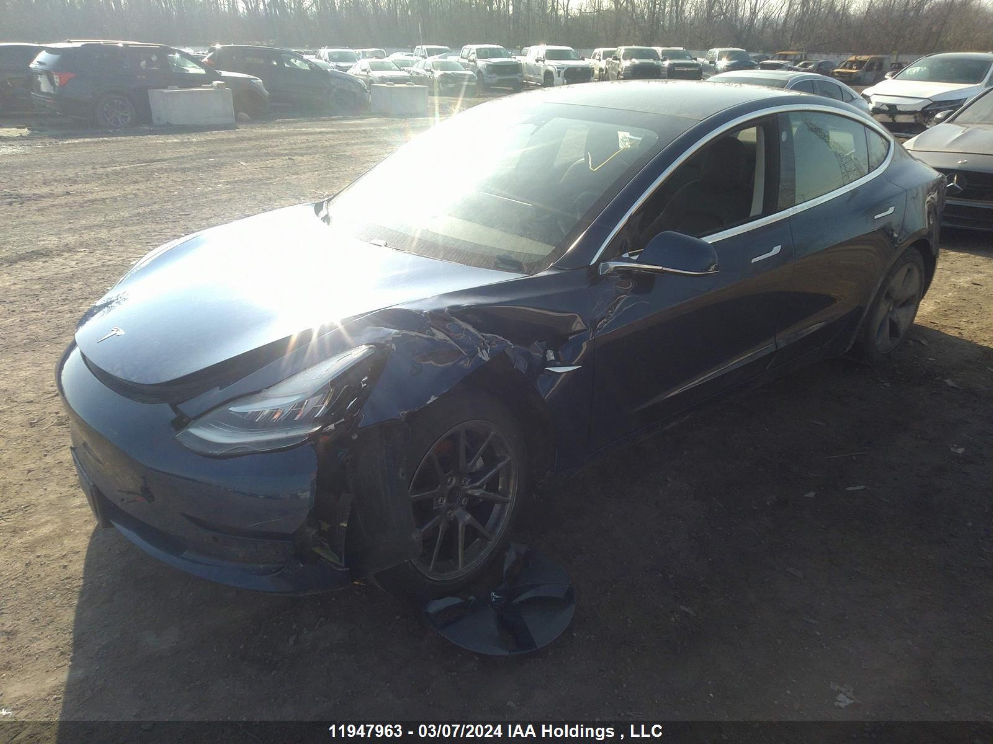 Photo 1 VIN: 5YJ3E1EA9KF403338 - TESLA MODEL 3 