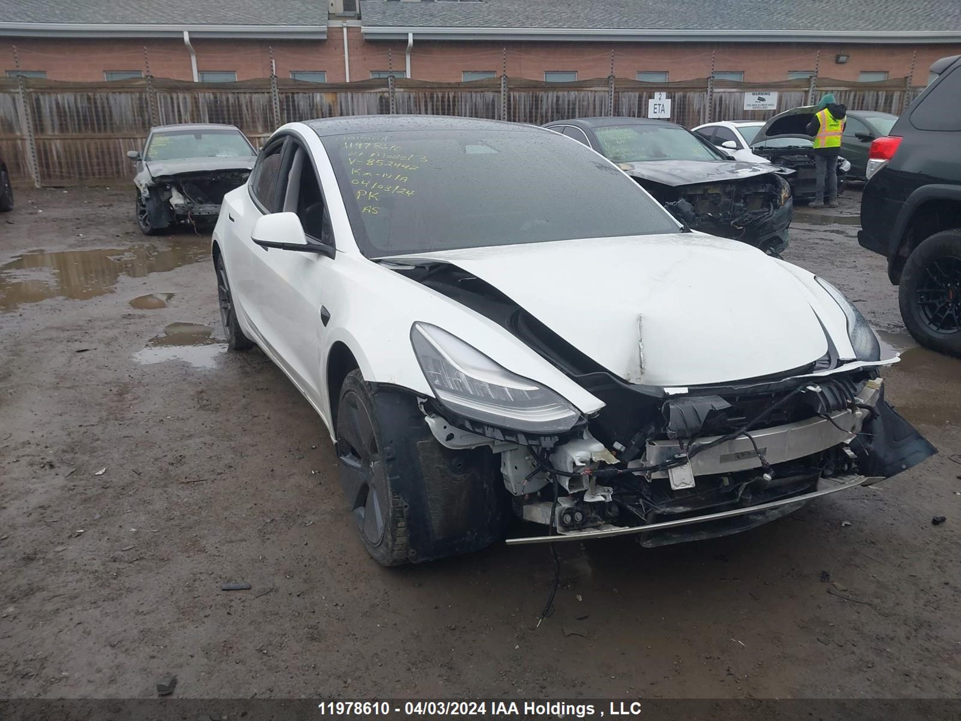 Photo 0 VIN: 5YJ3E1EA9MF852442 - TESLA MODEL 3 