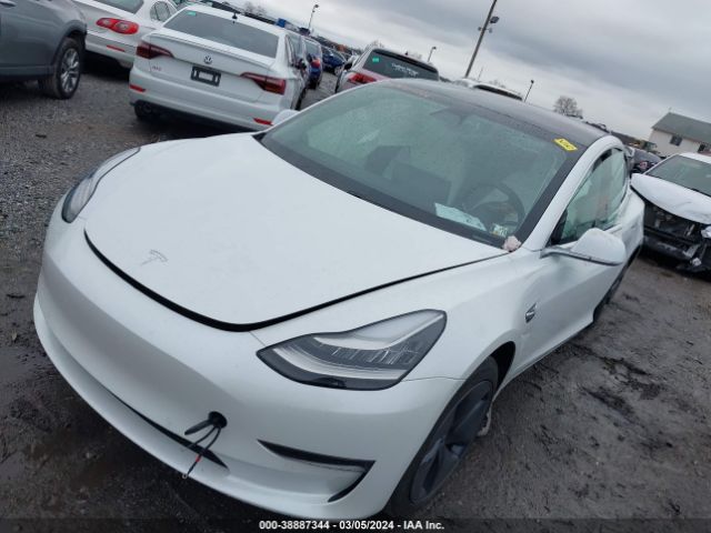 Photo 1 VIN: 5YJ3E1EAXLF591076 - TESLA MODEL 3 