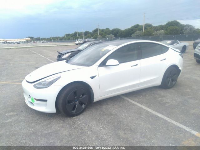 Photo 1 VIN: 5YJ3E1EAXMF969091 - TESLA MODEL 3 