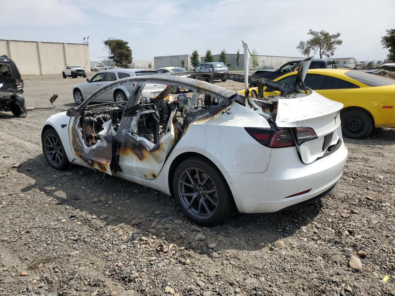 Photo 1 VIN: 5YJ3E1EB1LF636592 - TESLA MODEL 3 