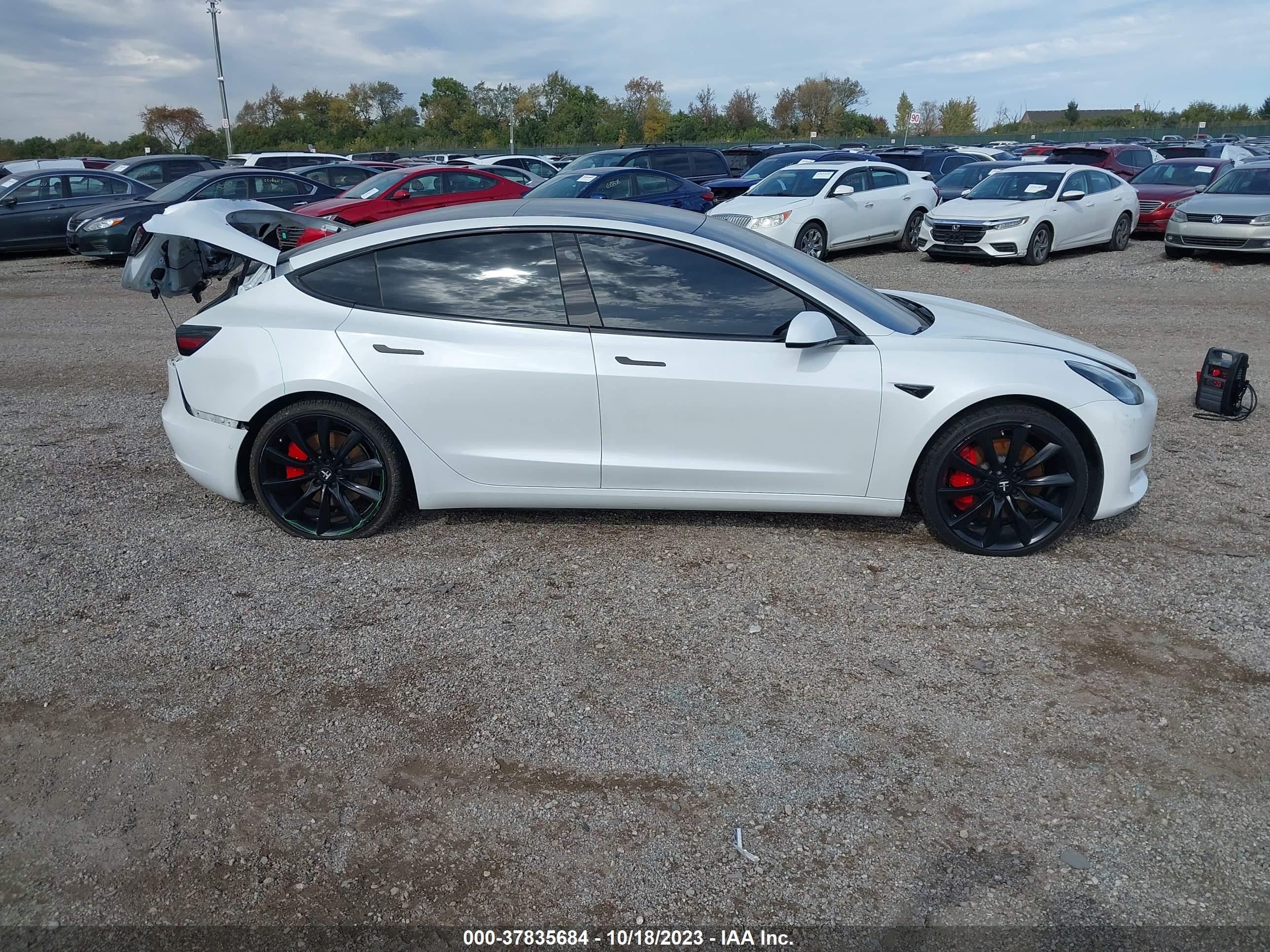 Photo 11 VIN: 5YJ3E1EB2KF413637 - TESLA MODEL 3 