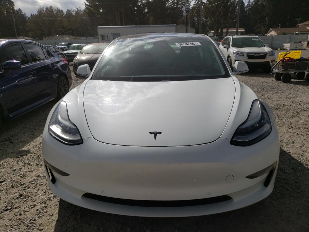 Photo 4 VIN: 5YJ3E1EB2LF667656 - TESLA MODEL 3 