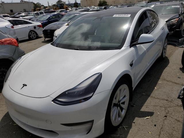 Photo 0 VIN: 5YJ3E1EB2MF004136 - TESLA MODEL 3 