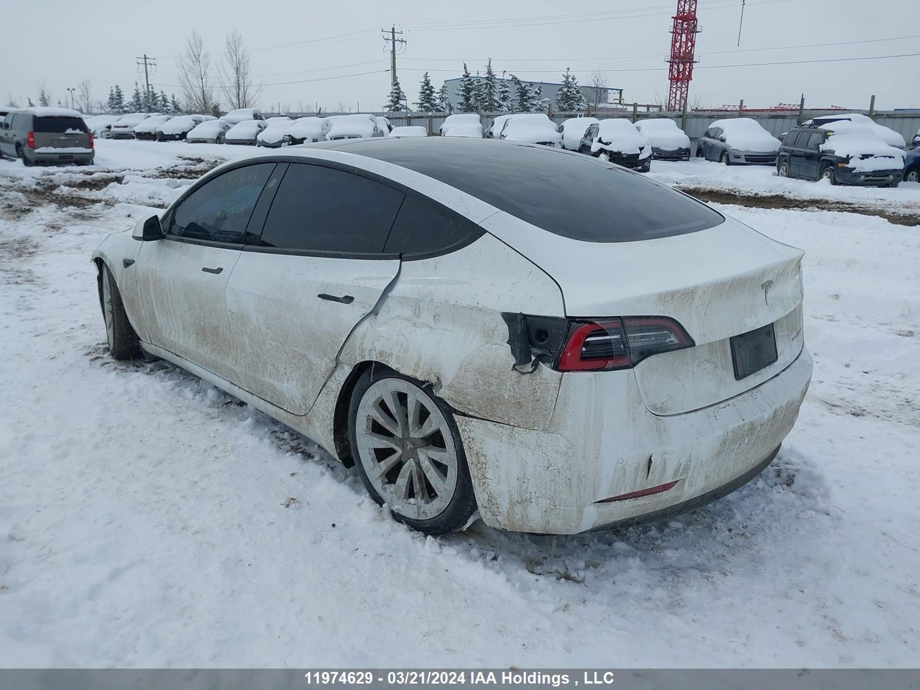 Photo 2 VIN: 5YJ3E1EB2NF167046 - TESLA MODEL 3 