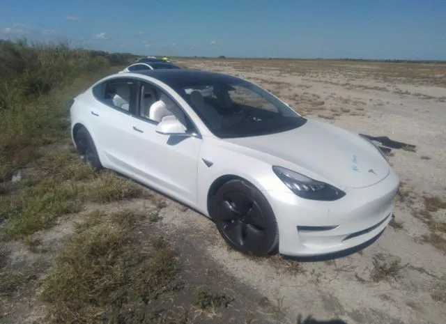 Photo 0 VIN: 5YJ3E1EB3LF607062 - TESLA MODEL 3 