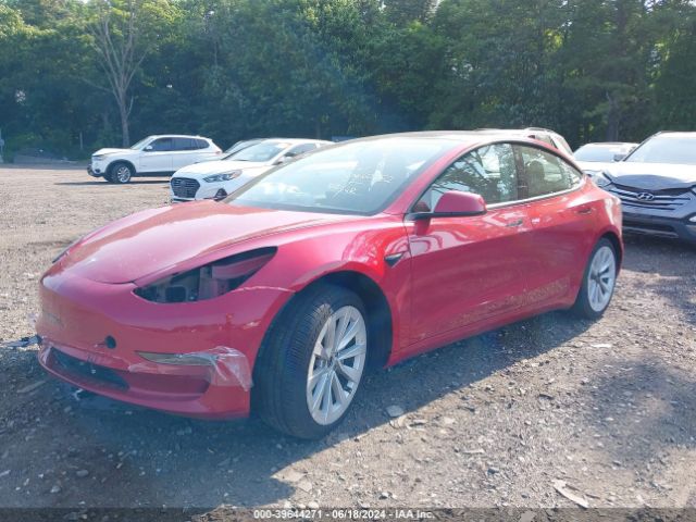 Photo 1 VIN: 5YJ3E1EB4MF063902 - TESLA MODEL 3 