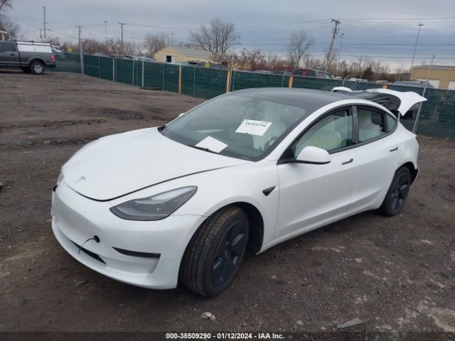 Photo 1 VIN: 5YJ3E1EB5PF591582 - TESLA MODEL 3 