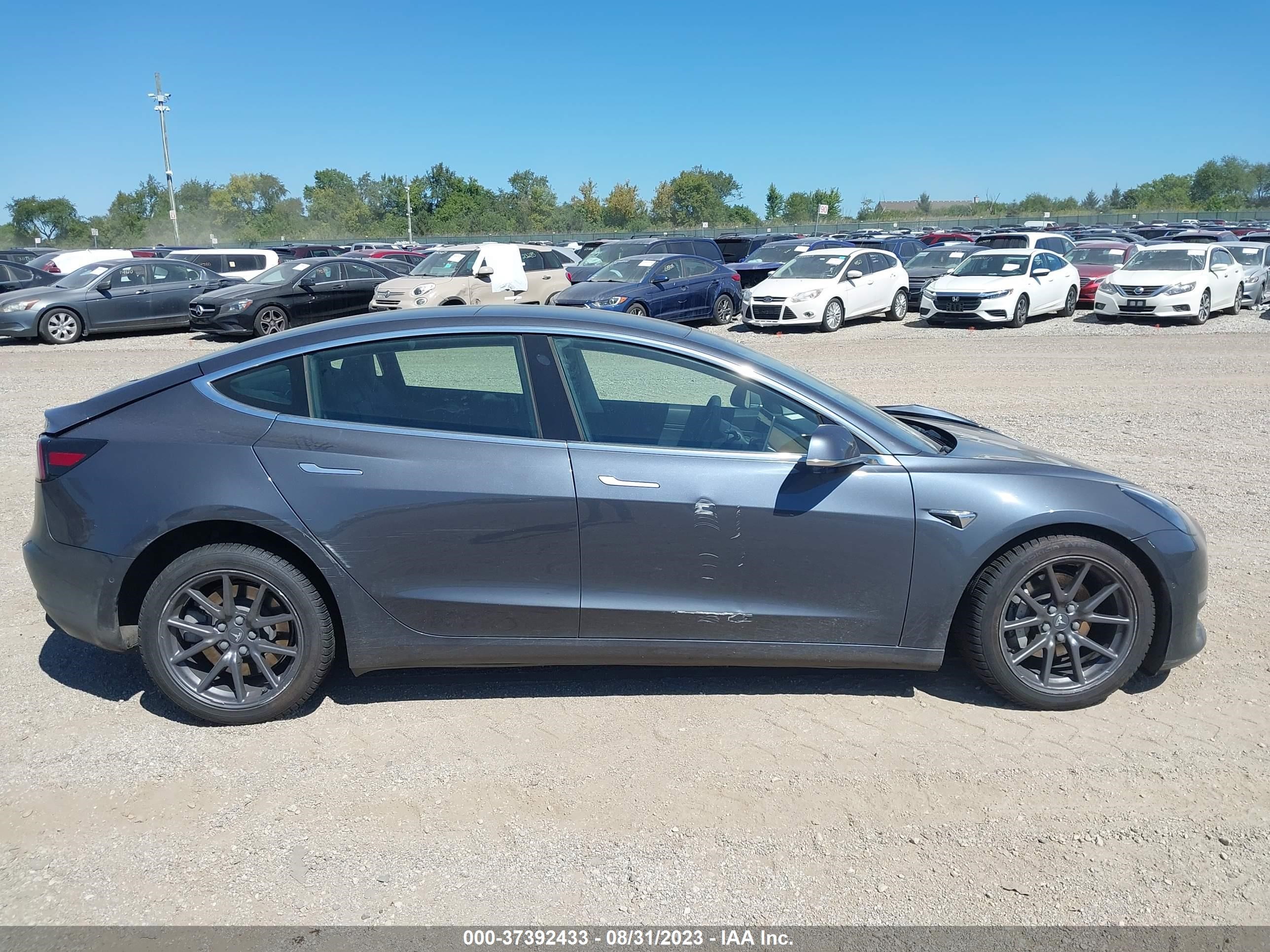 Photo 11 VIN: 5YJ3E1EB6LF646079 - TESLA MODEL 3 