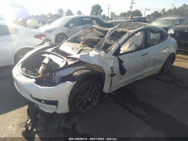 Photo 1 VIN: 5YJ3E1EB6MF080779 - TESLA MODEL 3 