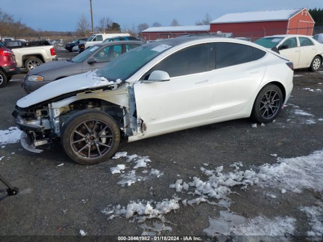 Photo 1 VIN: 5YJ3E1EB7KF494716 - TESLA MODEL 3 