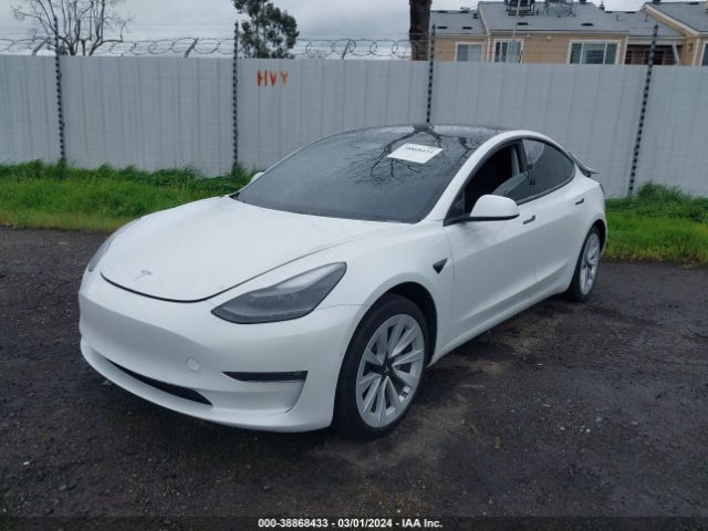 Photo 1 VIN: 5YJ3E1EB7MF071542 - TESLA MODEL 3 