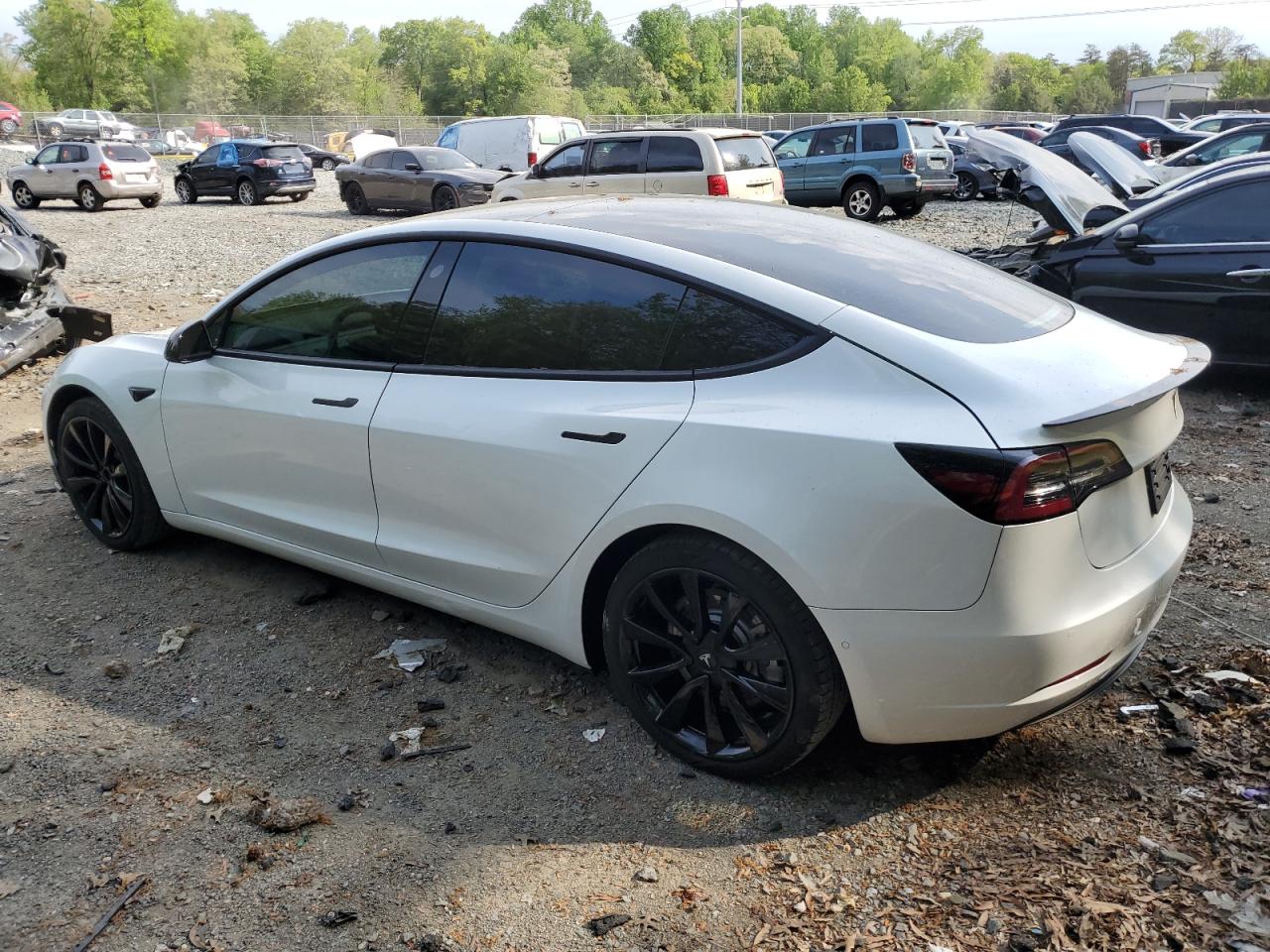 Photo 1 VIN: 5YJ3E1EB7MF858393 - TESLA MODEL 3 