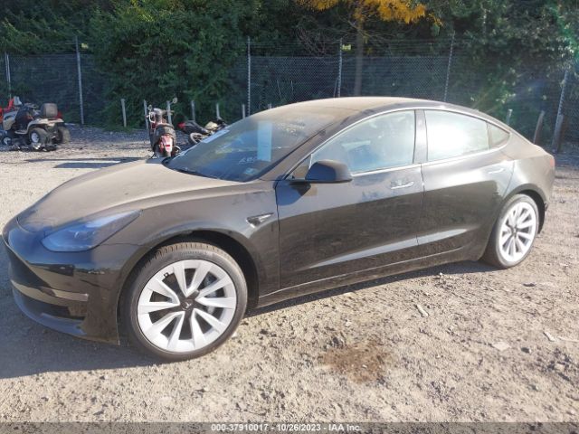 Photo 1 VIN: 5YJ3E1EB7PF393375 - TESLA MODEL 3 