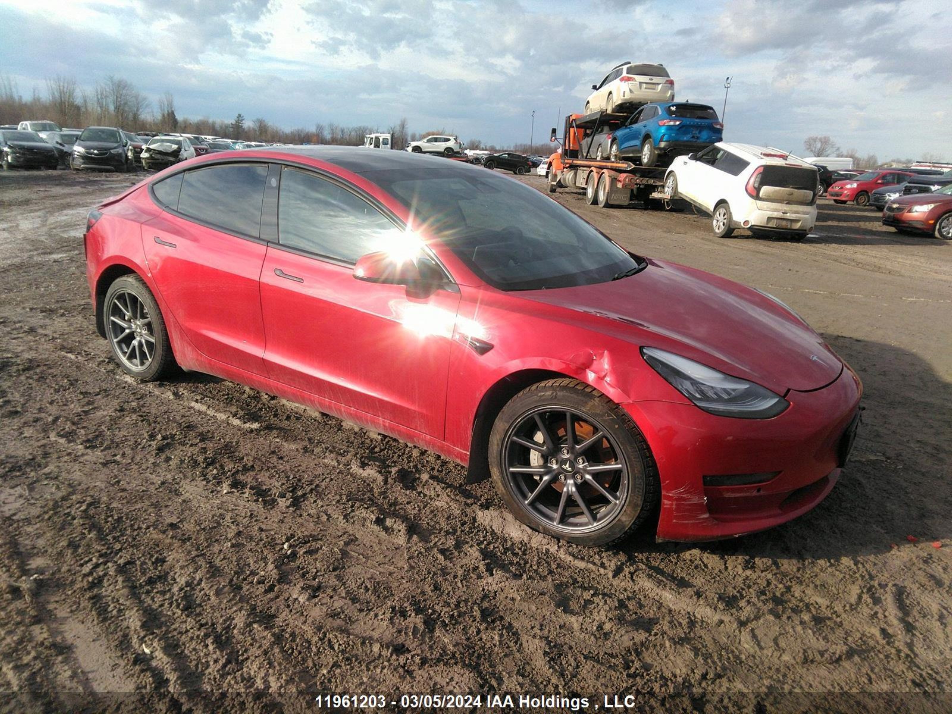 Photo 0 VIN: 5YJ3E1EB9LF643032 - TESLA MODEL 3 