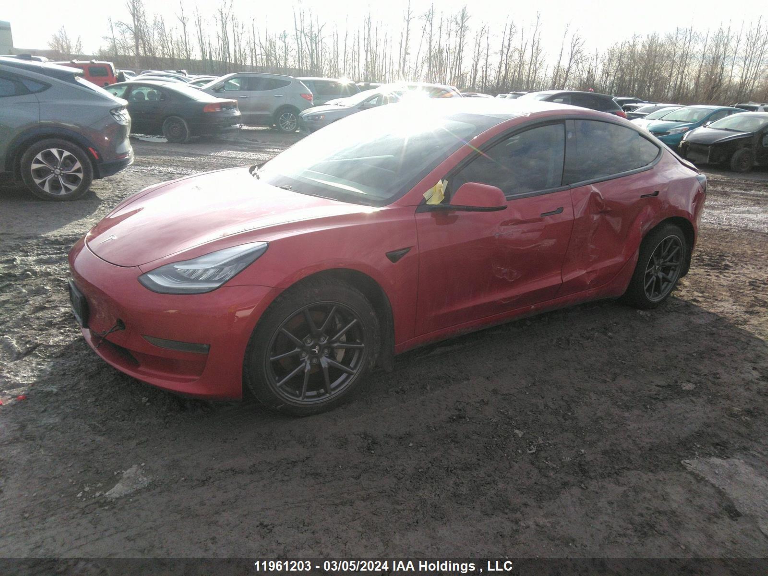 Photo 1 VIN: 5YJ3E1EB9LF643032 - TESLA MODEL 3 