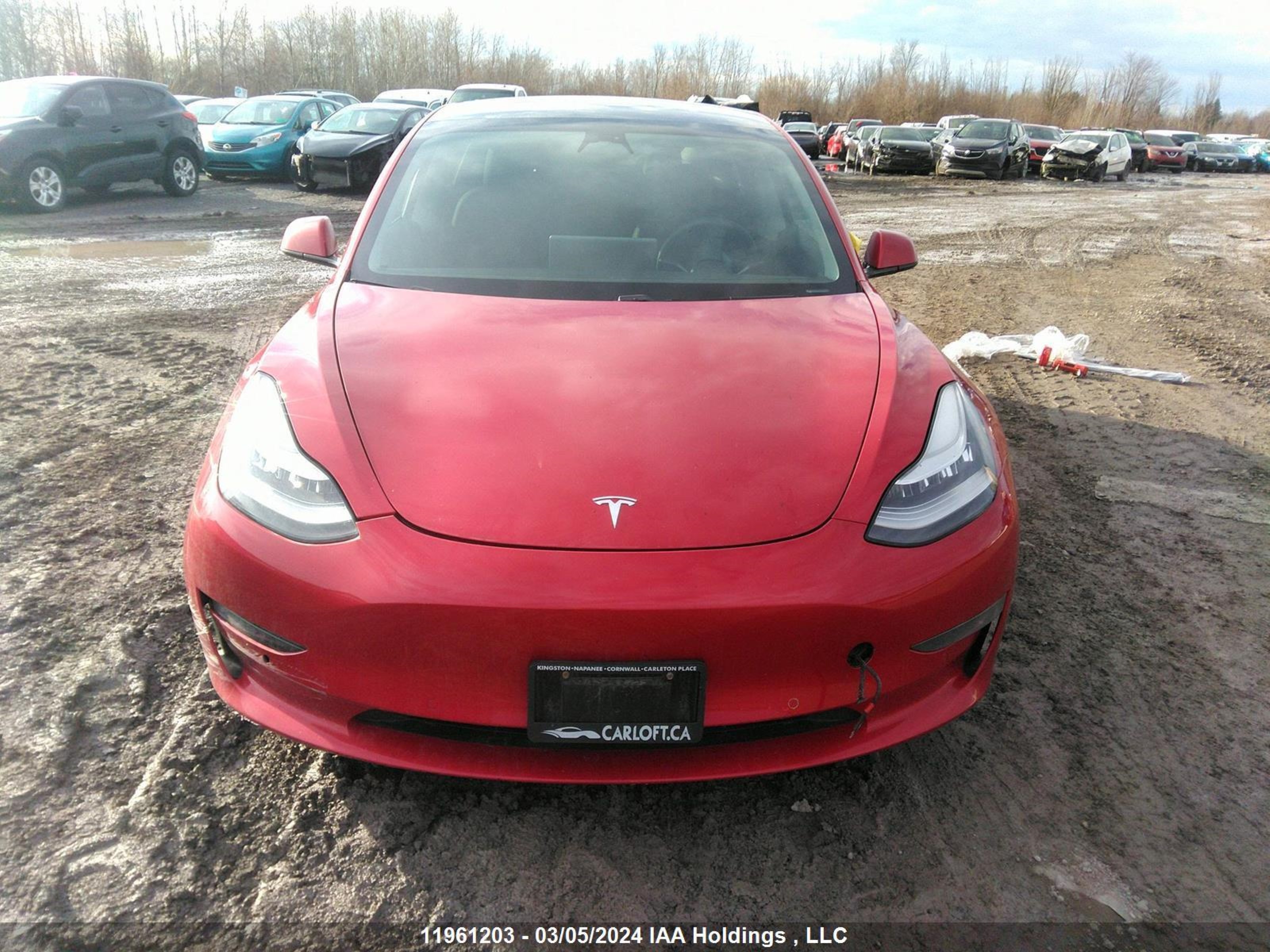 Photo 11 VIN: 5YJ3E1EB9LF643032 - TESLA MODEL 3 