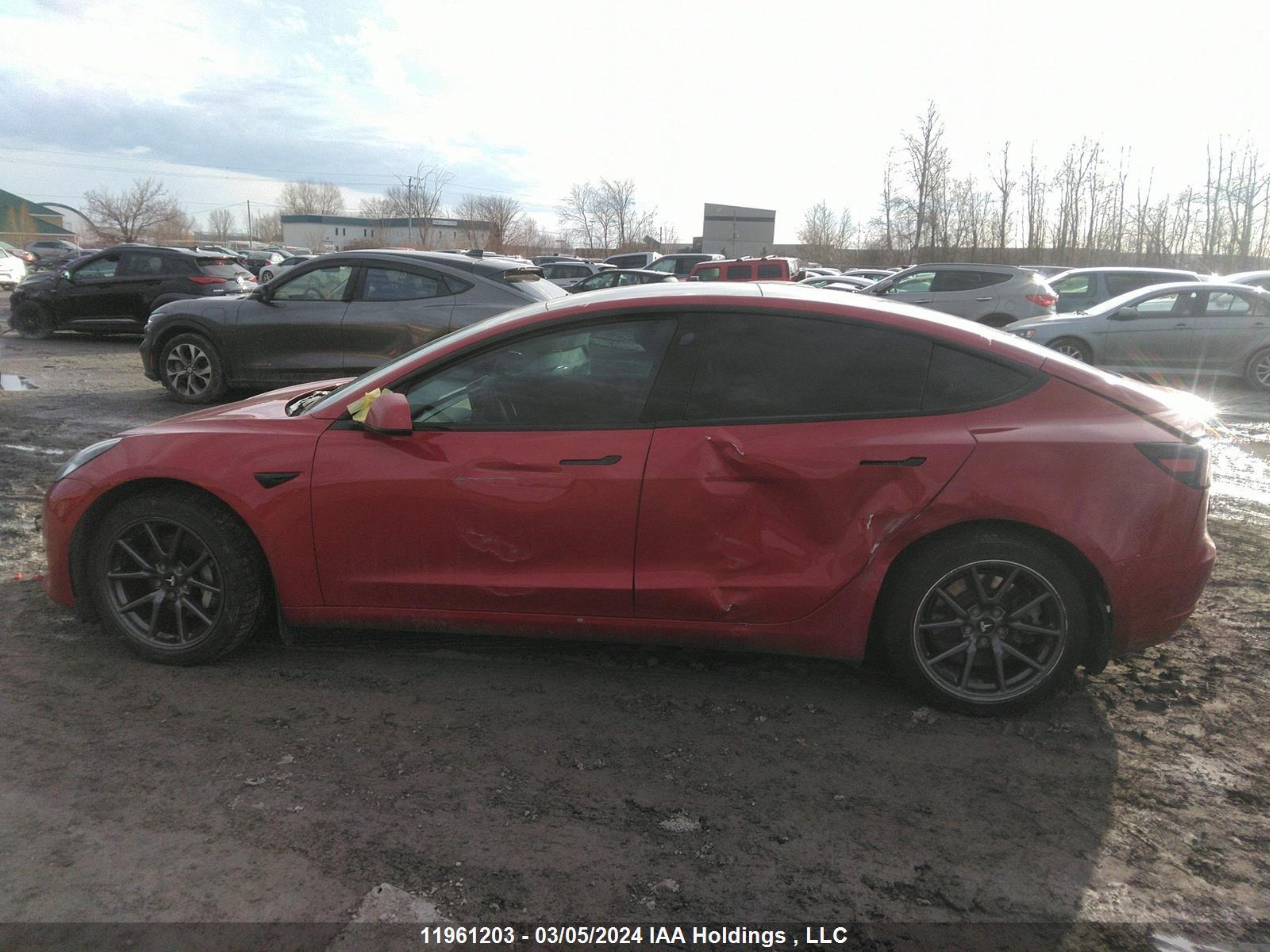 Photo 13 VIN: 5YJ3E1EB9LF643032 - TESLA MODEL 3 