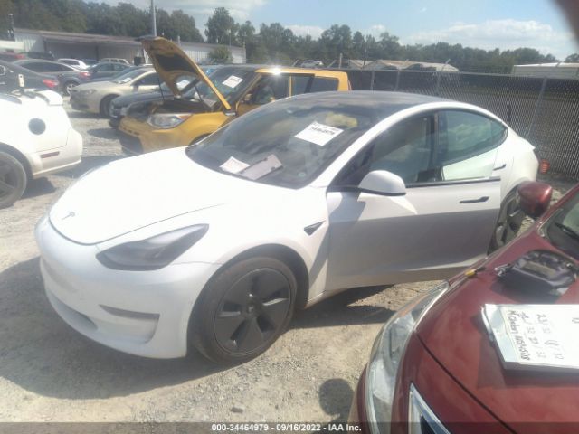 Photo 1 VIN: 5YJ3E1EBXMF903388 - TESLA MODEL 3 