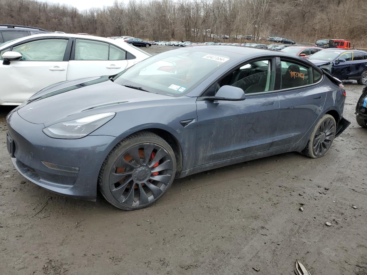 Photo 0 VIN: 5YJ3E1EC1PF399276 - TESLA MODEL 3 