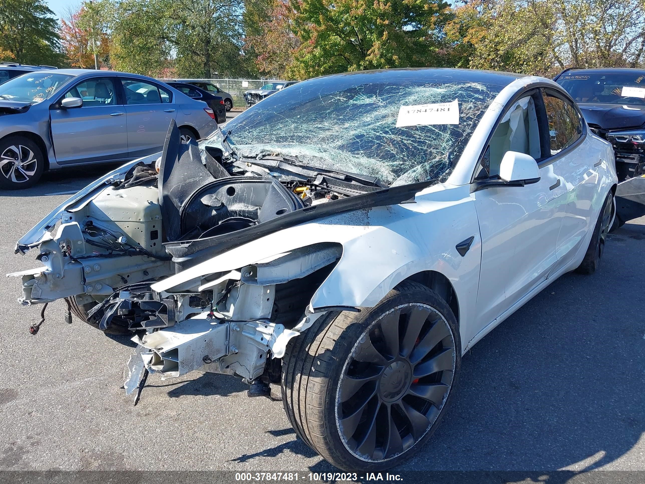 Photo 1 VIN: 5YJ3E1EC2MF925541 - TESLA MODEL 3 