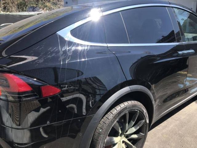 Photo 6 VIN: 5YJXCDE48MF308193 - TESLA MODEL X 