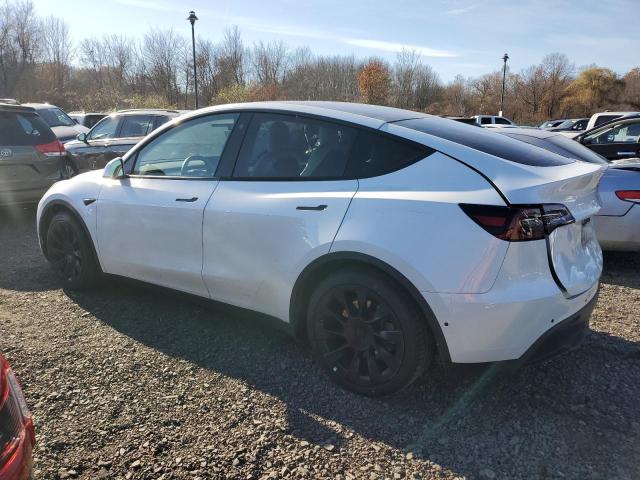 Photo 1 VIN: 5YJYGAEE1MF144429 - TESLA MODEL Y 