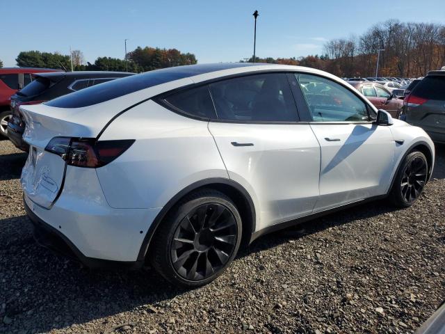 Photo 2 VIN: 5YJYGAEE1MF144429 - TESLA MODEL Y 