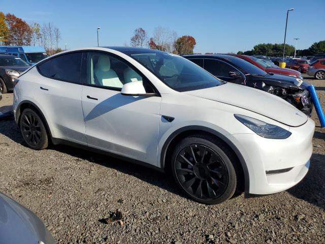 Photo 3 VIN: 5YJYGAEE1MF144429 - TESLA MODEL Y 