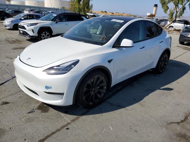 Photo 1 VIN: 5YJYGAEE1MF234891 - TESLA MODEL Y 