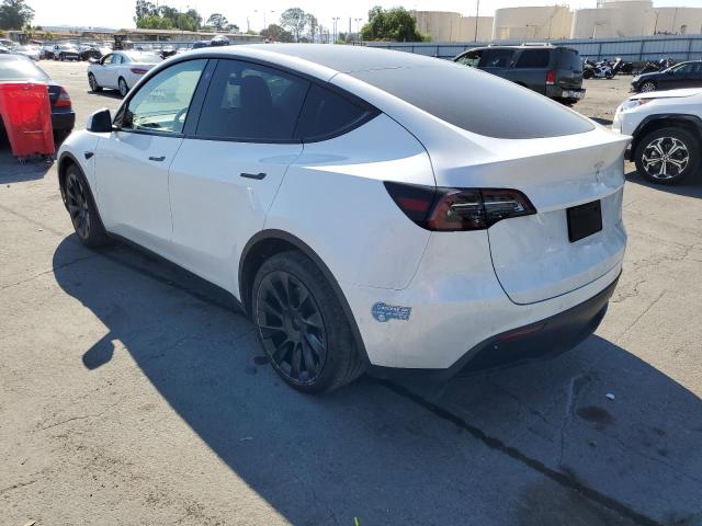 Photo 2 VIN: 5YJYGAEE1MF234891 - TESLA MODEL Y 