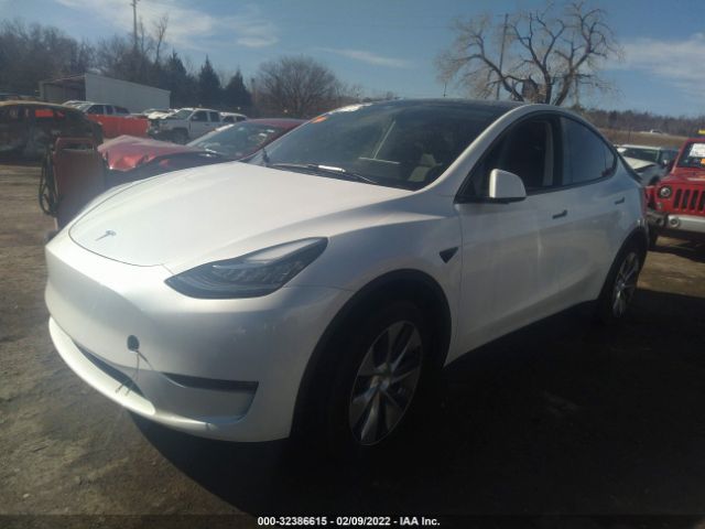 Photo 1 VIN: 5YJYGAEE1MF256440 - TESLA MODEL Y 