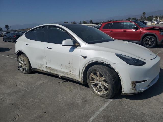 Photo 3 VIN: 5YJYGAEE2MF212284 - TESLA MODEL Y 