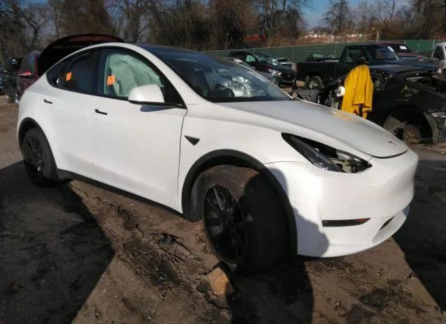 Photo 0 VIN: 5YJYGAEE2MF249092 - TESLA MODEL Y 