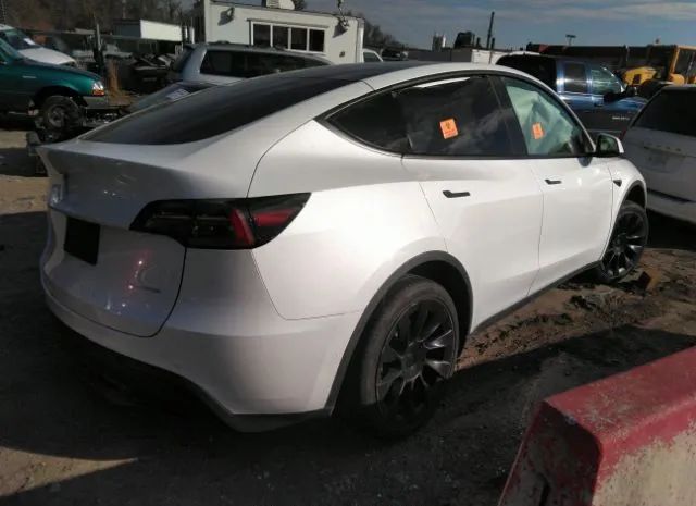 Photo 3 VIN: 5YJYGAEE2MF249092 - TESLA MODEL Y 