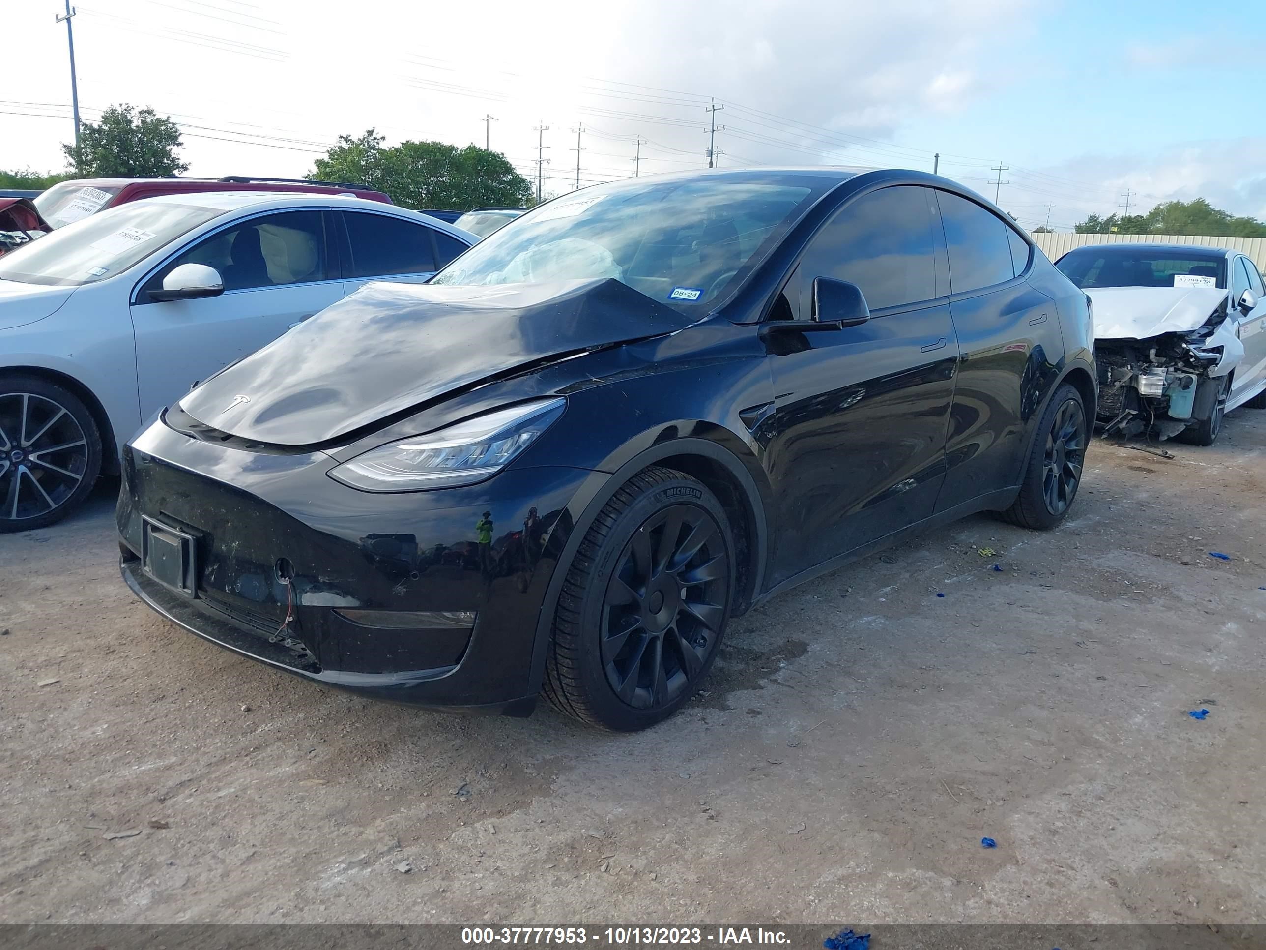 Photo 1 VIN: 5YJYGAEE2MF259072 - TESLA MODEL Y 