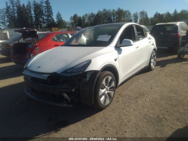 Photo 1 VIN: 5YJYGAEE2MF296932 - TESLA MODEL Y 