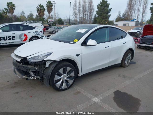 Photo 1 VIN: 5YJYGAEE3MF238392 - TESLA MODEL Y 