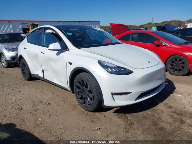 Photo 0 VIN: 5YJYGAEE4MF208866 - TESLA MODEL Y 