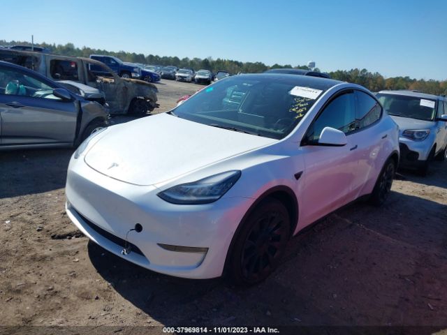 Photo 1 VIN: 5YJYGAEE4MF208866 - TESLA MODEL Y 