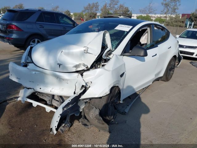 Photo 1 VIN: 5YJYGAEE4MF213260 - TESLA MODEL Y 