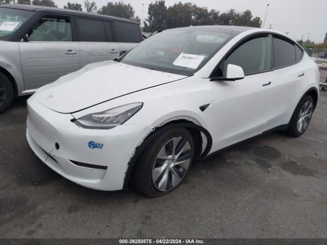 Photo 1 VIN: 5YJYGAEE4MF243827 - TESLA MODEL Y 