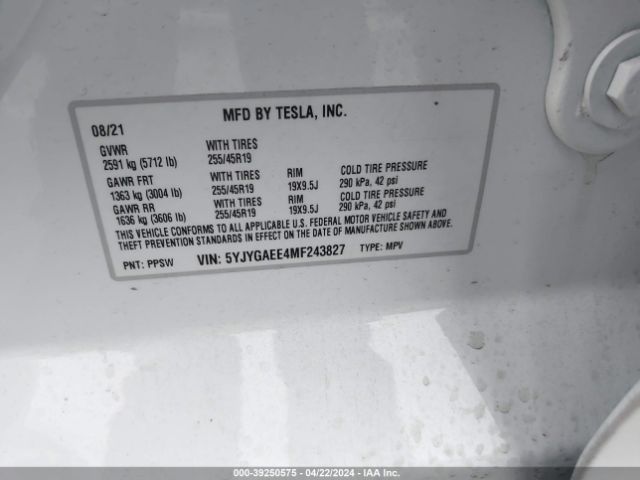 Photo 8 VIN: 5YJYGAEE4MF243827 - TESLA MODEL Y 