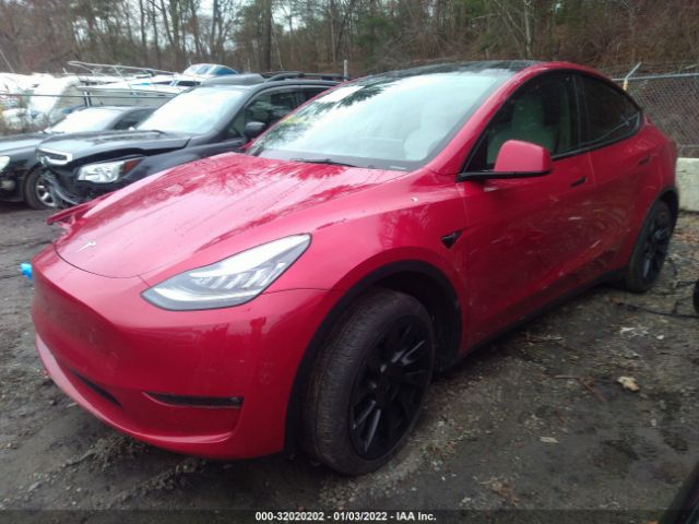 Photo 1 VIN: 5YJYGAEE5MF136639 - TESLA MODEL Y 