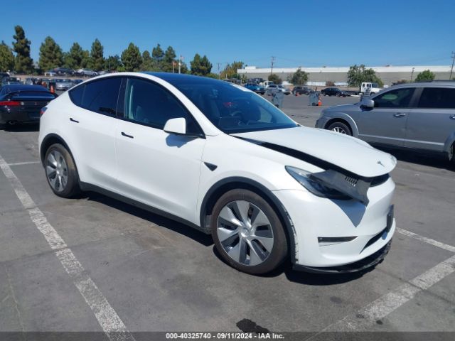 Photo 0 VIN: 5YJYGAEE5MF223036 - TESLA MODEL Y 