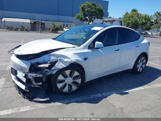 Photo 1 VIN: 5YJYGAEE5MF223036 - TESLA MODEL Y 