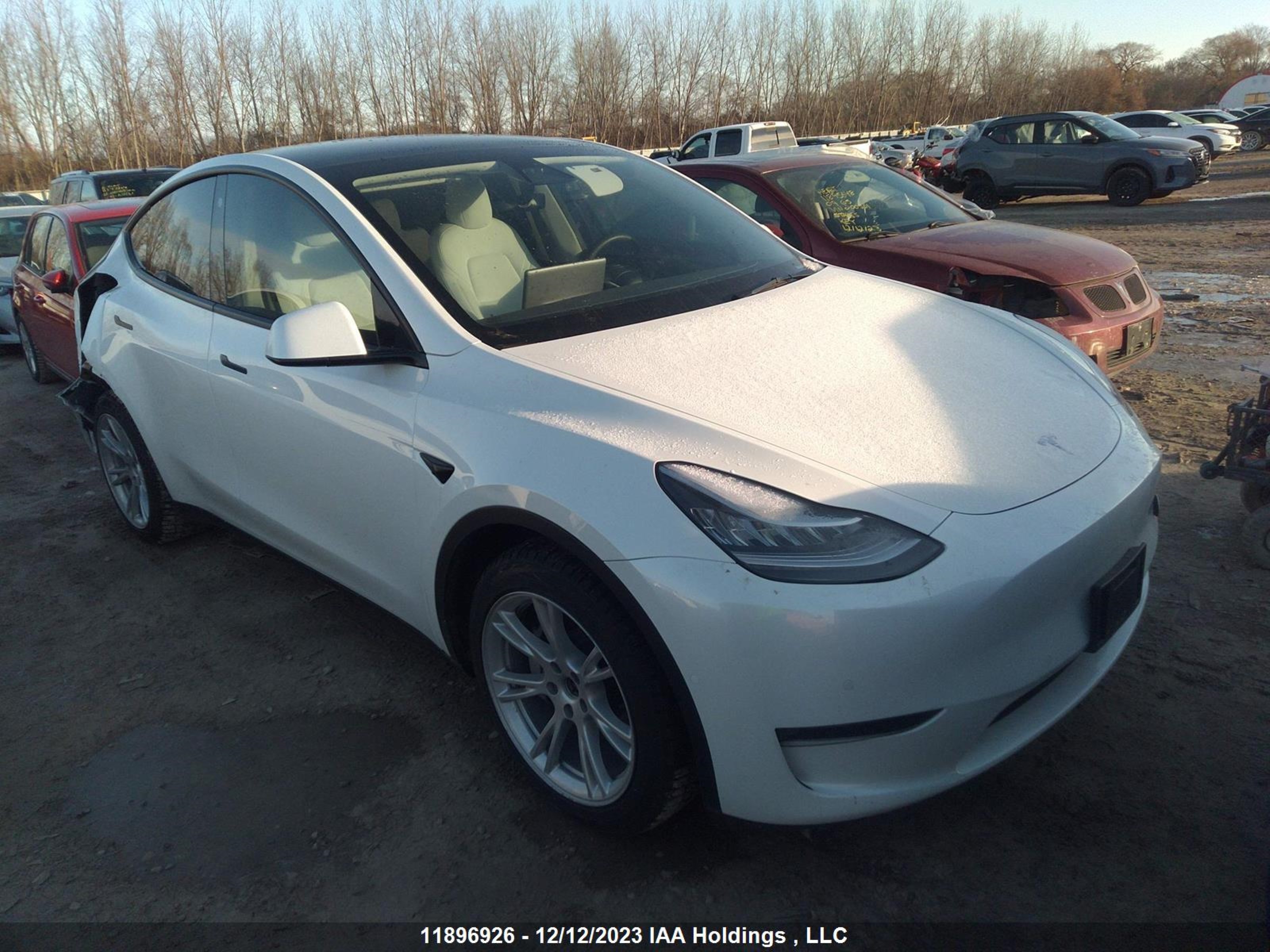 Photo 0 VIN: 5YJYGAEE5MF293796 - TESLA MODEL Y 