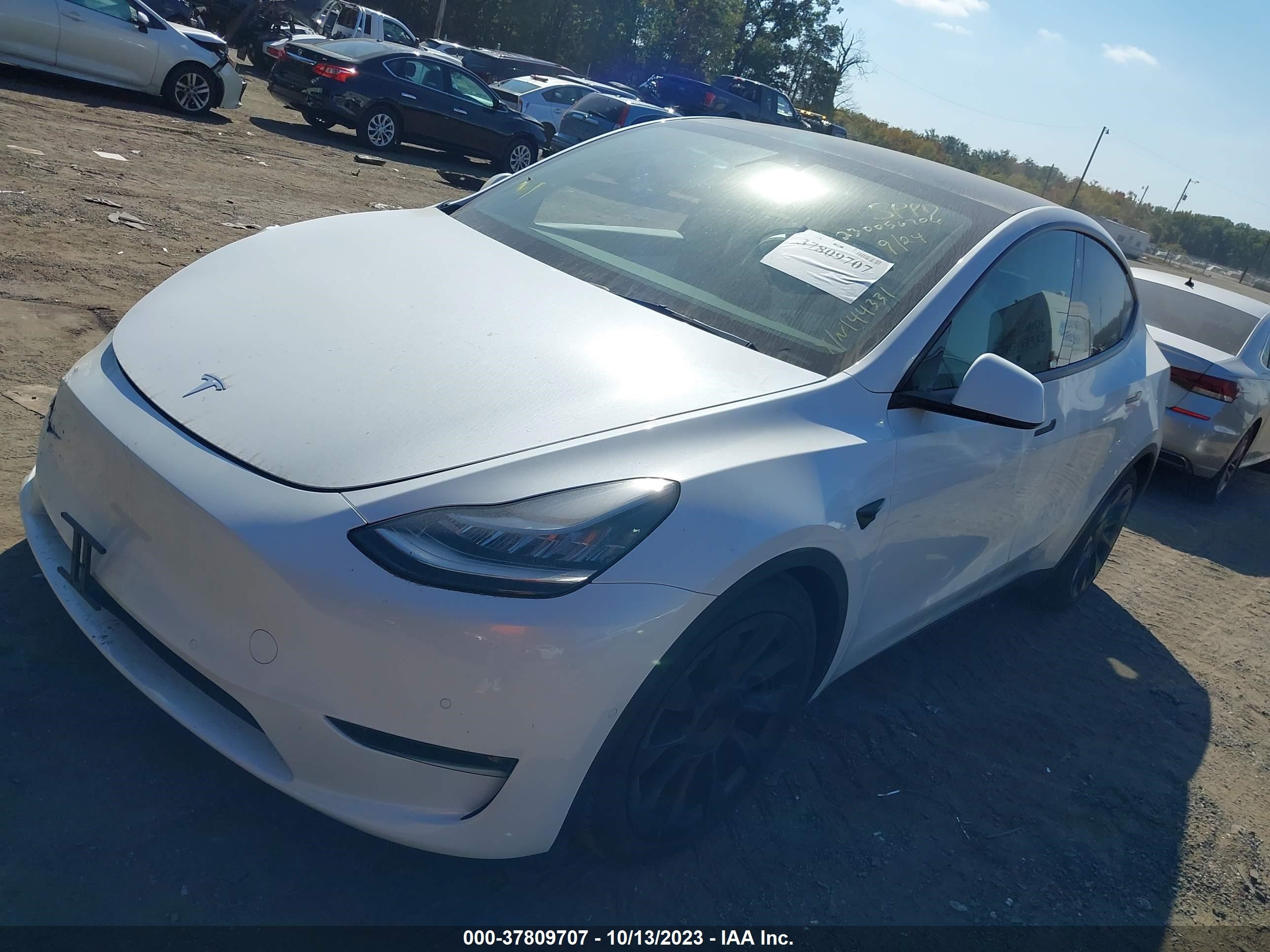 Photo 1 VIN: 5YJYGAEE6MF144331 - TESLA MODEL Y 